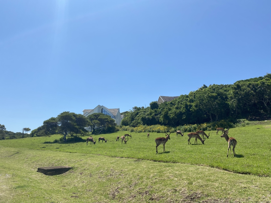 4 Bedroom Property for Sale in Cove Rock Eastern Cape